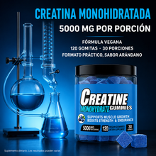 Gomitas de monohidrato de creatina para hombres y mujeres, 5000 mg