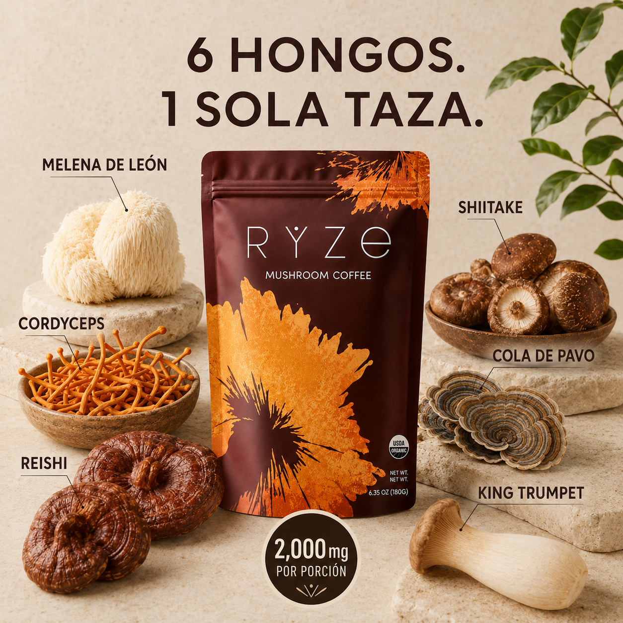 RYZE Mushroom Coffee - Café de Hongos Orgánico (30 porciones)