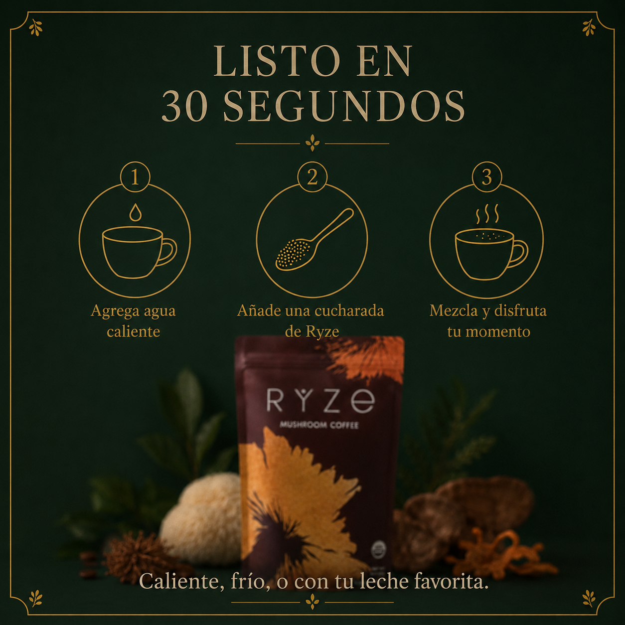 RYZE Mushroom Coffee - Café de Hongos Orgánico (30 porciones)