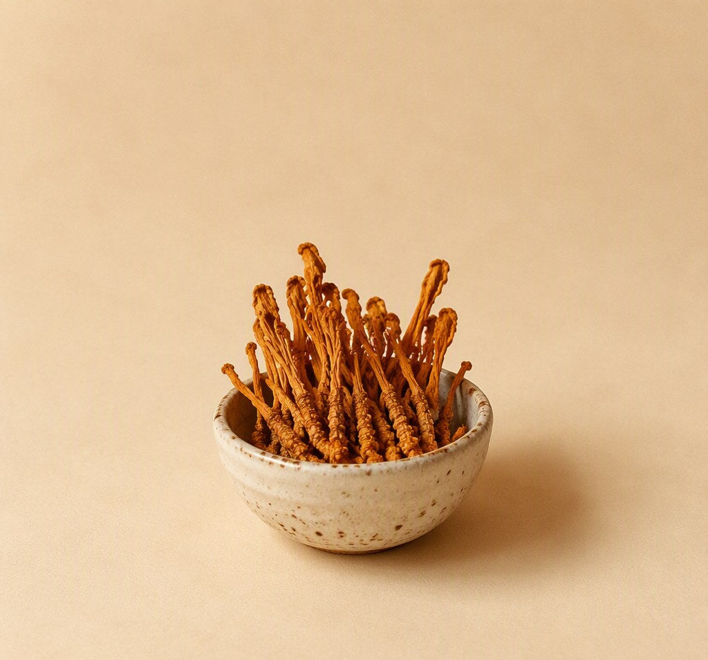 Cordyceps