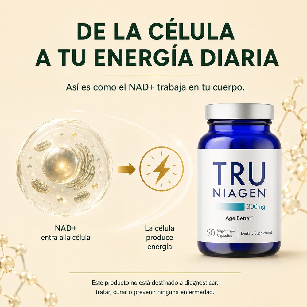 Diagrama de cómo el NAD+ entra a la célula y produce energía